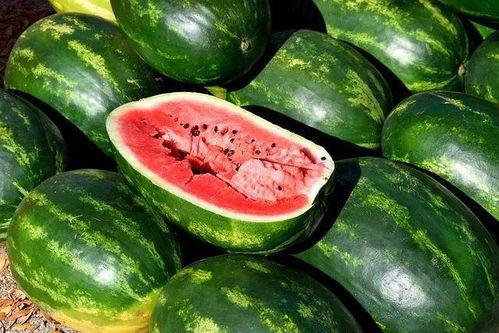 吃瓜唯美视频素材下载免费,唯美视频素材免费下载，尽享视觉盛宴