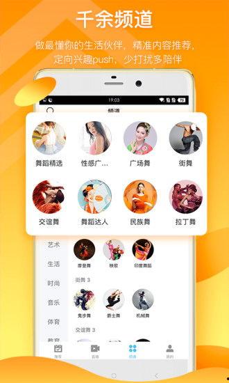 金诚茶庄爆料视频大全下载,揭秘茶叶市场的秘密与真相