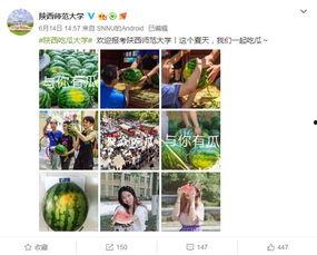 大学校园吃瓜网站在线观看免费,免费在线观看，揭秘大学校园生活点滴