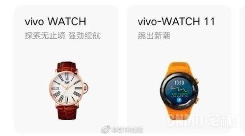 vivo手表最新爆料,颠覆传统，智能生活新篇章