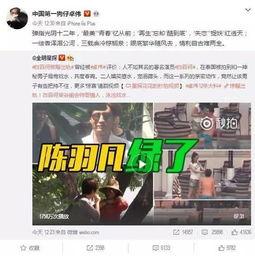 刘祉辰爆料视频大全下载,揭秘幕后真相与精彩瞬间  第2张