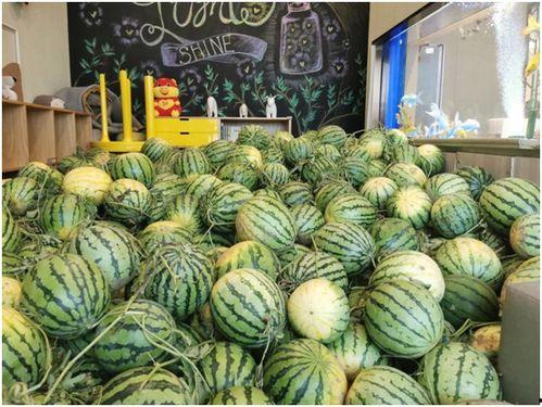 莱州今日吃瓜爆料视频  第3张 莱州今日吃瓜爆料视频  第3张